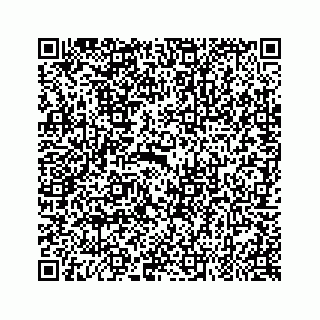 vCard 79324002540