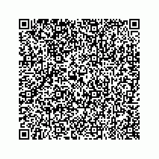 vCard 79324002563