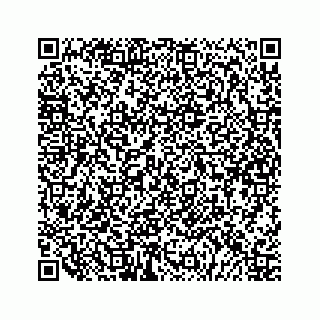 vCard 79324002743