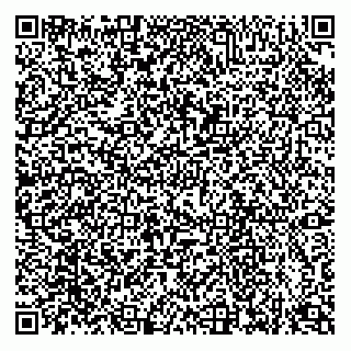 vCard 79333018028