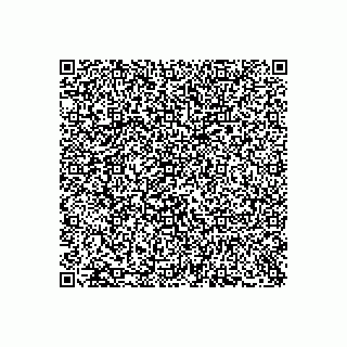 vCard 79333033772
