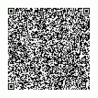 vCard 79333033953