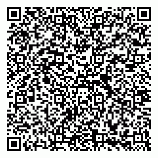 vCard 79335535004