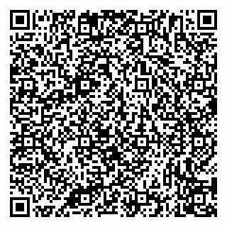 vCard 79335535006