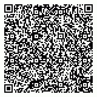 vCard 79335535008