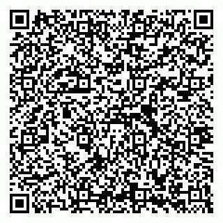 vCard 79335535009