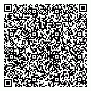 vCard 79335535019