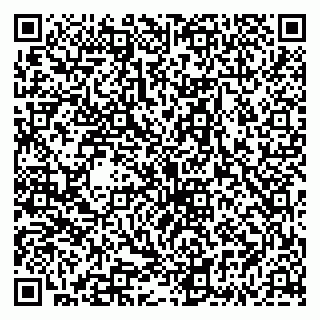 vCard 79335535020
