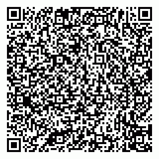 vCard 79335535027