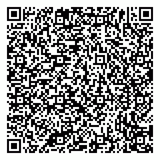 vCard 79335535031