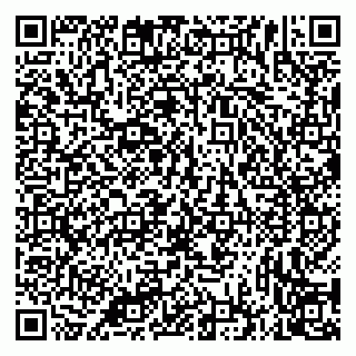 vCard 79335535033