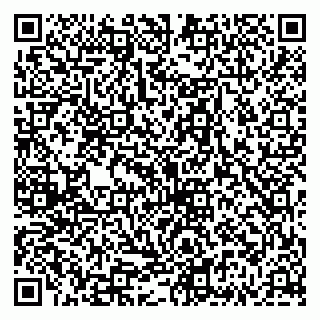 vCard 79335535037