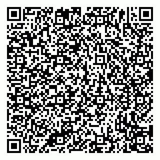 vCard 79335535038