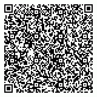 vCard 79335535040