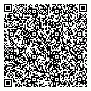 vCard 79335535041