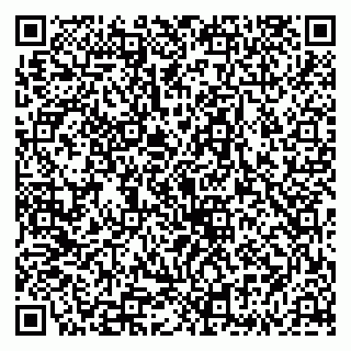 vCard 79335535042