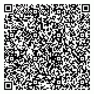 vCard 79335535044