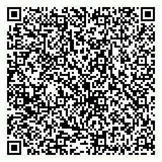 vCard 79335535047