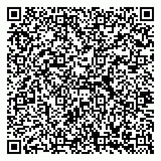 vCard 79335535053