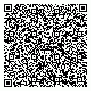 vCard 79335535055