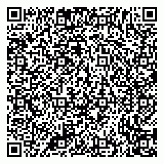 vCard 79335535059