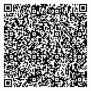vCard 79335535063