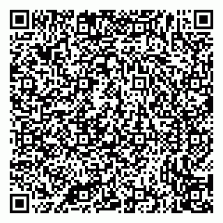 vCard 79335535071