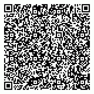 vCard 79335535078