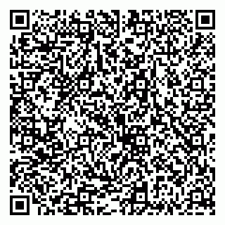 vCard 79335535087