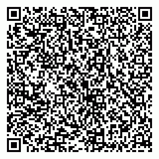 vCard 79335535089