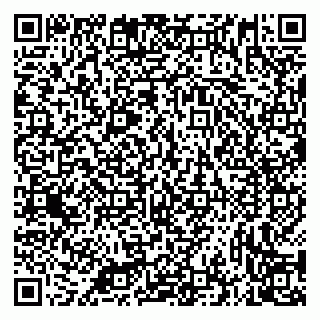 vCard 79335535093