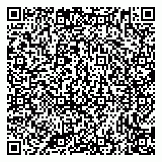 vCard 79335535094