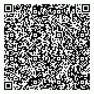 vCard 79335535099