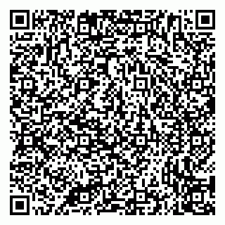 vCard 79335535101