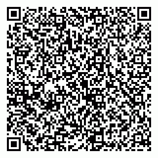 vCard 79335535111