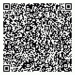 vCard 79335535113