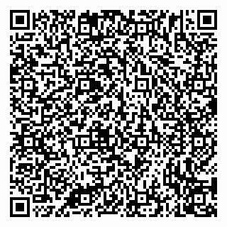 vCard 79335535119