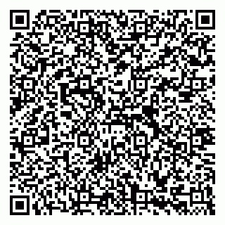 vCard 79335535125