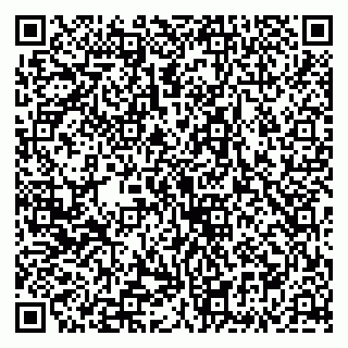 vCard 79335535129