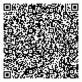 vCard 79335535131