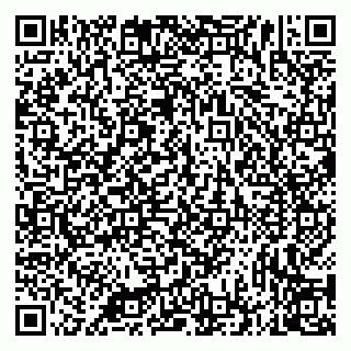 vCard 79335535132
