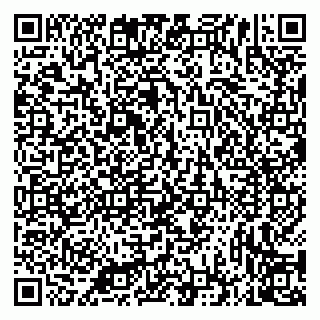 vCard 79335535133