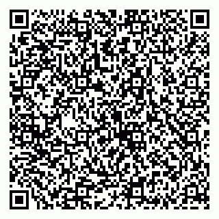 vCard 79335535137