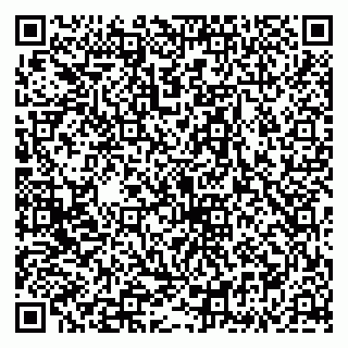 vCard 79335535139