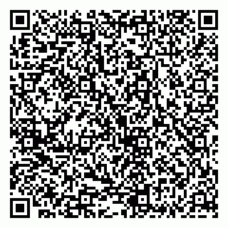 vCard 79335535145