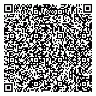 vCard 79335535153
