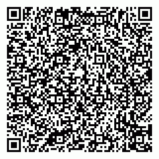 vCard 79335535158
