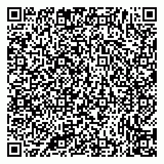vCard 79335535163
