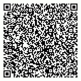 vCard 79335535167