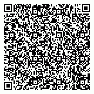 vCard 79335535173